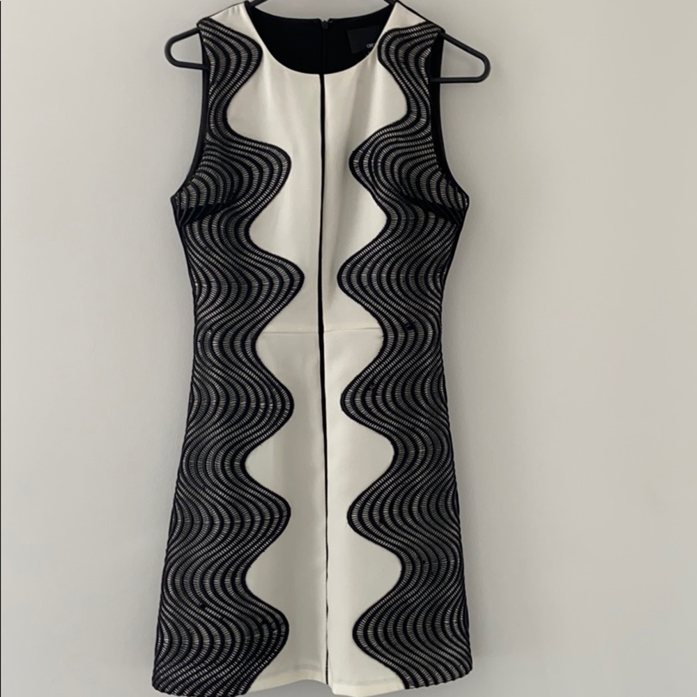 Greylin black and white dress